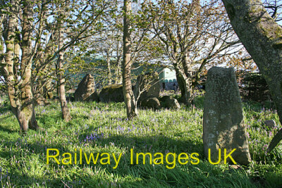 Photo 6x4 Netherton of Logie Recumbent Stone Circle (2) (Pagan Druid Celti