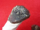 KNIFE RIVER FLINT THUMBSCRAPERS - SO DAKOTA Authentic Indian Artifacts — photo 3
