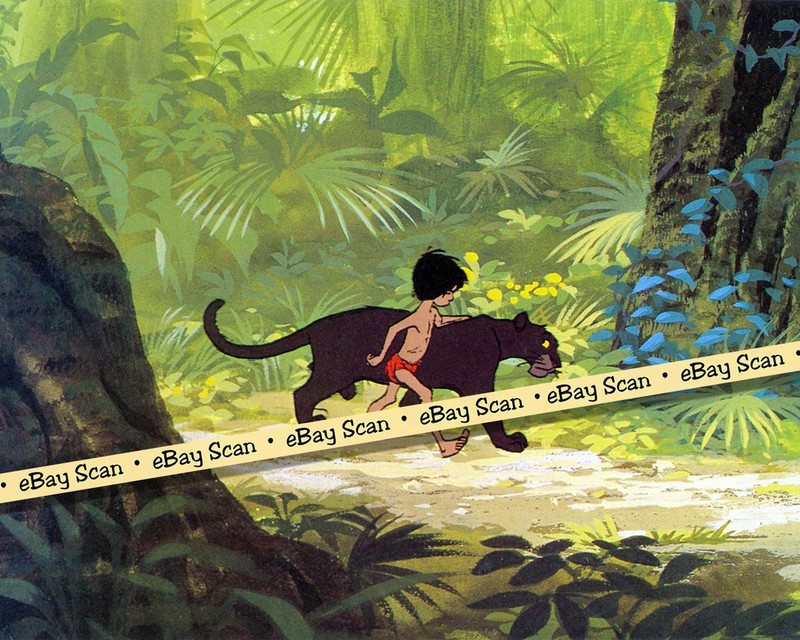 Rare! WALT DISNEY'S JUNGLE BOOK Cartoon Color 8 X 10 Photo MOWGLI & BAGHEERA