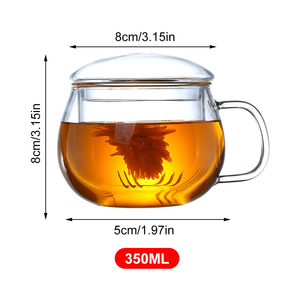 Heat Resistant Clear Glass Teapot With Infuser Tea Coffee Maker