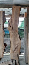 Pecan Live Edge Slab - 118"
