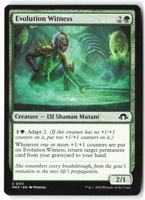 Evolution Witness - Modern Horizons 3 (151) - MTG