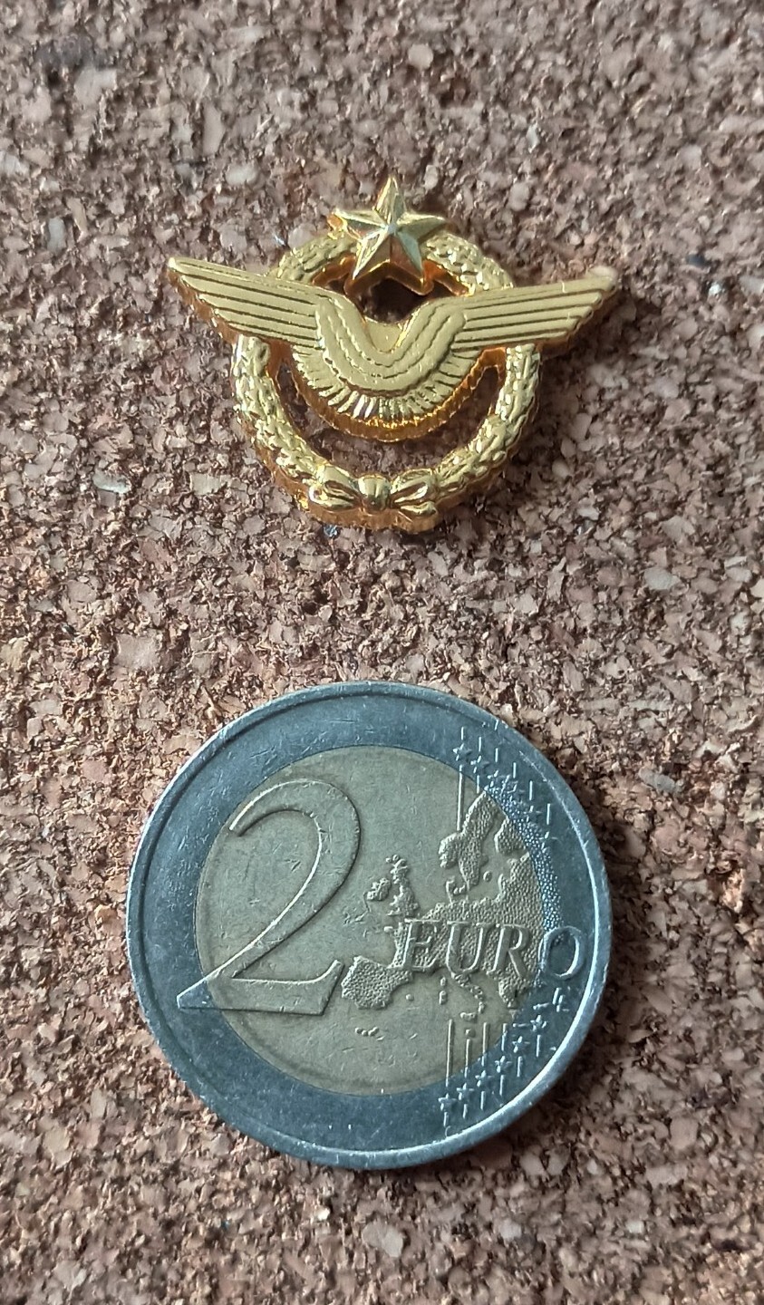 PIN'S ARMÉE INSIGNE 131 RI Régiment Infanterie CEC Centre Entraînement