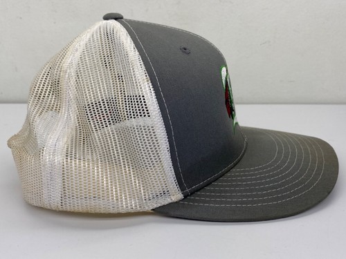 RARE Dirty Birds Hockey D Series 4D3 SnapBack Hay Mesh Back Detroit Tigers LOGO - Picture 4 of 19