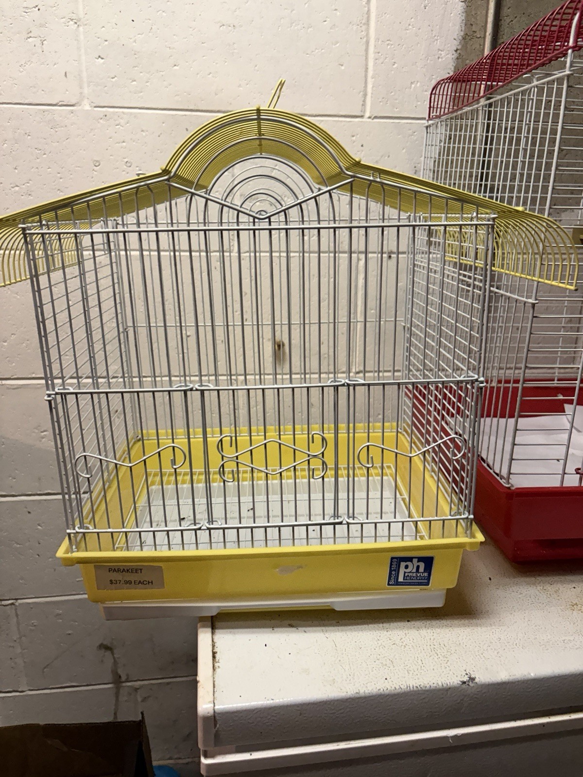 Yellow White Single Cage