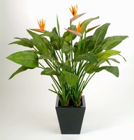 Artplants KüNstliche Strelizie Sanura, 43 BläTter, 5 BlüTen, Orange, 130Cm