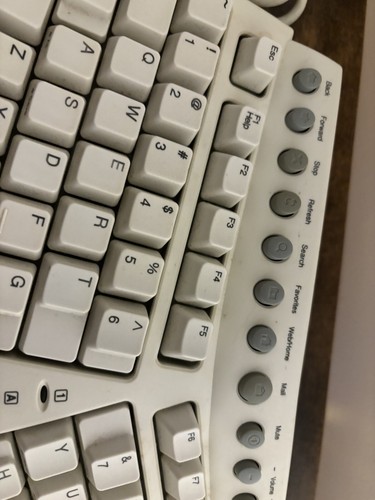 Dell by Microsoft Ergonomic Natural USB Keyboard Pro Model No. RT9403 - Picture 12 of 13