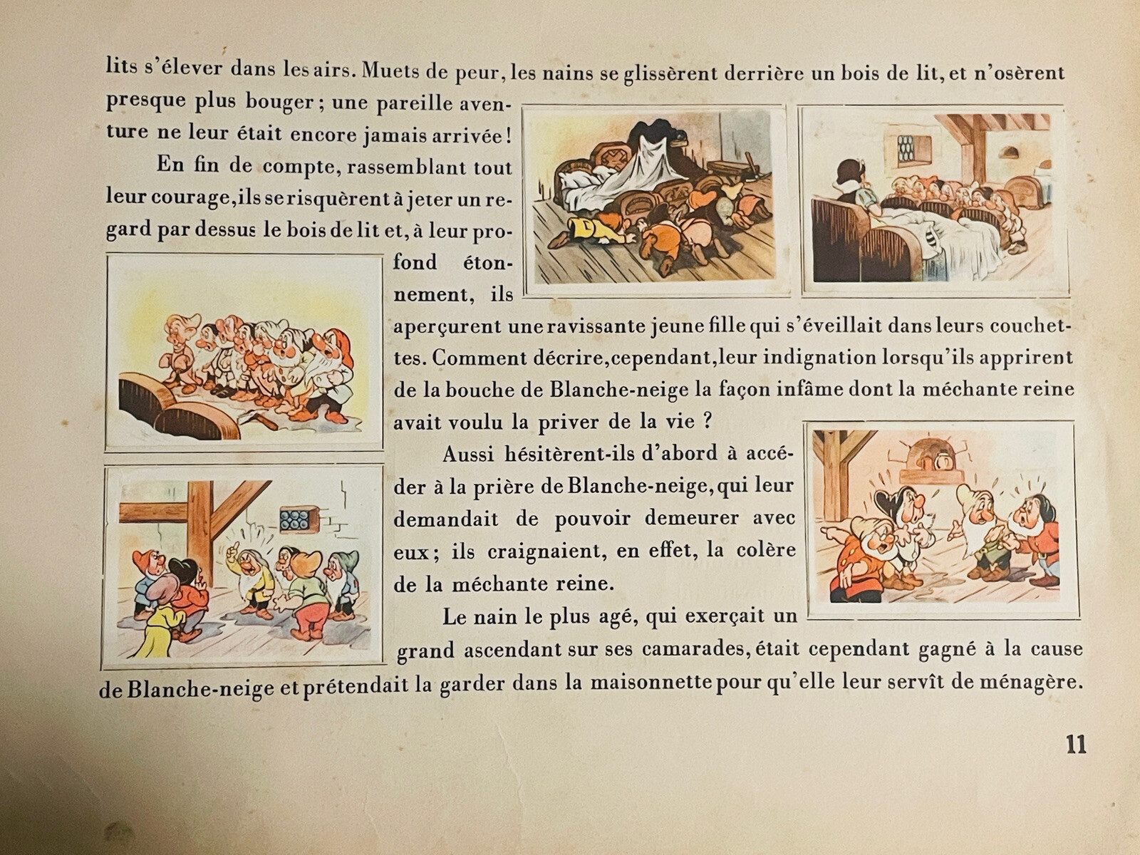 Imagen 15 de 19