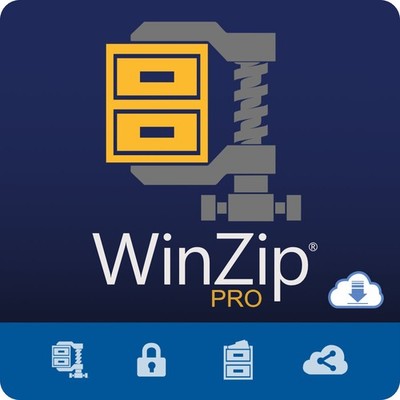 WinZip 30 PRO *1-PC* Dauerlizenz - Windows - DE/ML  / KEY (ESD)