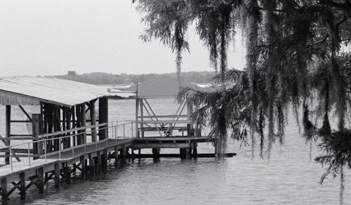 Lake Charles Lakeshore Drive Original 35mm B&W Negatives  (8 total) - Picture 2 of 8