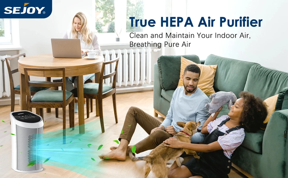 Air Purifier HEPA Filter For Indoor 200 Square Feet 99.9% Removal With Ionizer