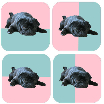 pug coasters