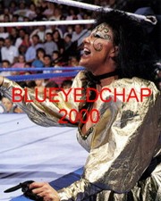 SHERRI MARTEL GIRL WRESTLER 8 X 10 WRESTLING PHOTO WWF WCW AWA