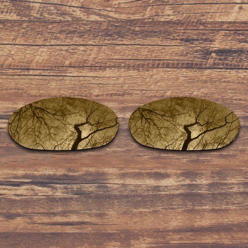Repuesto de lentes polarizadas KEYTO para arpón Costa del Mar - opciones - Imagen 7 de 25