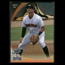Brian Schales 2017 Jupiter Hammerheads Team Set Baseball Card MLB NM