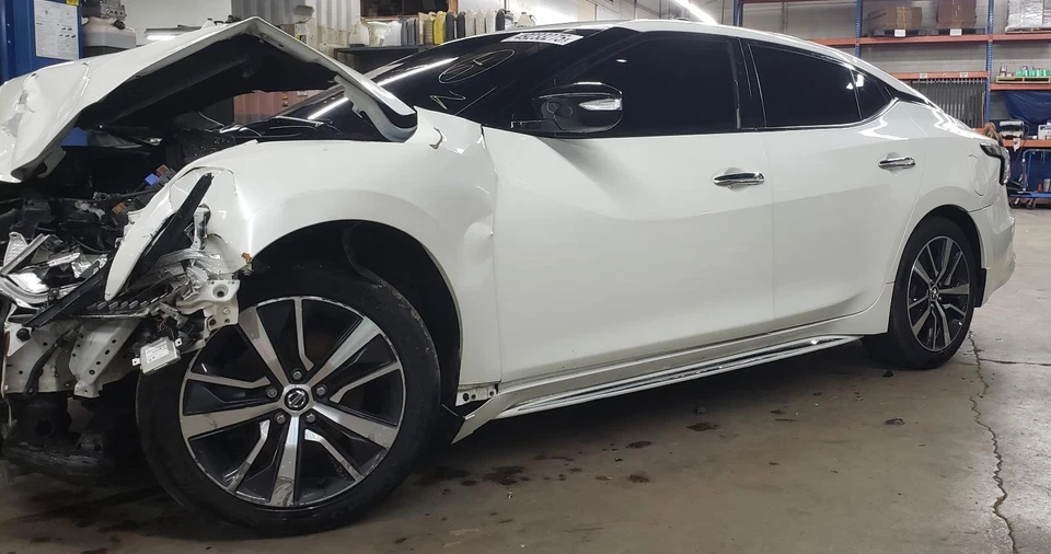 16 17 18 19 20 21 22 23 MAXIMA Left Rear Coil Spring, SV - Image 3 of 4