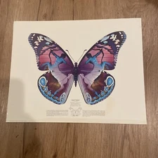1973-1974 Vintage Richard A. Colborn Butterfly Zodiac Sagittarius Art Print