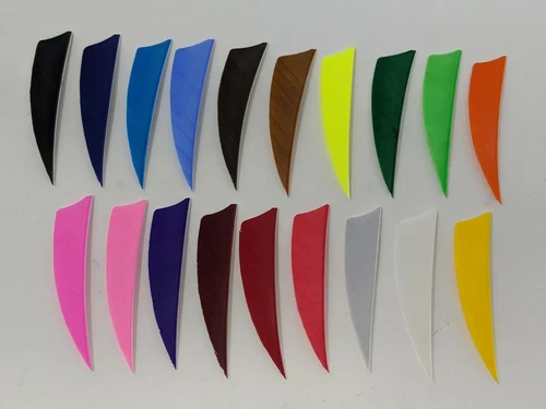 Archery Past 3" Shield Feathers - 12 Pack, RW or LW