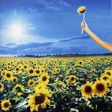 Stone Temple Pilots - Thank You New CD