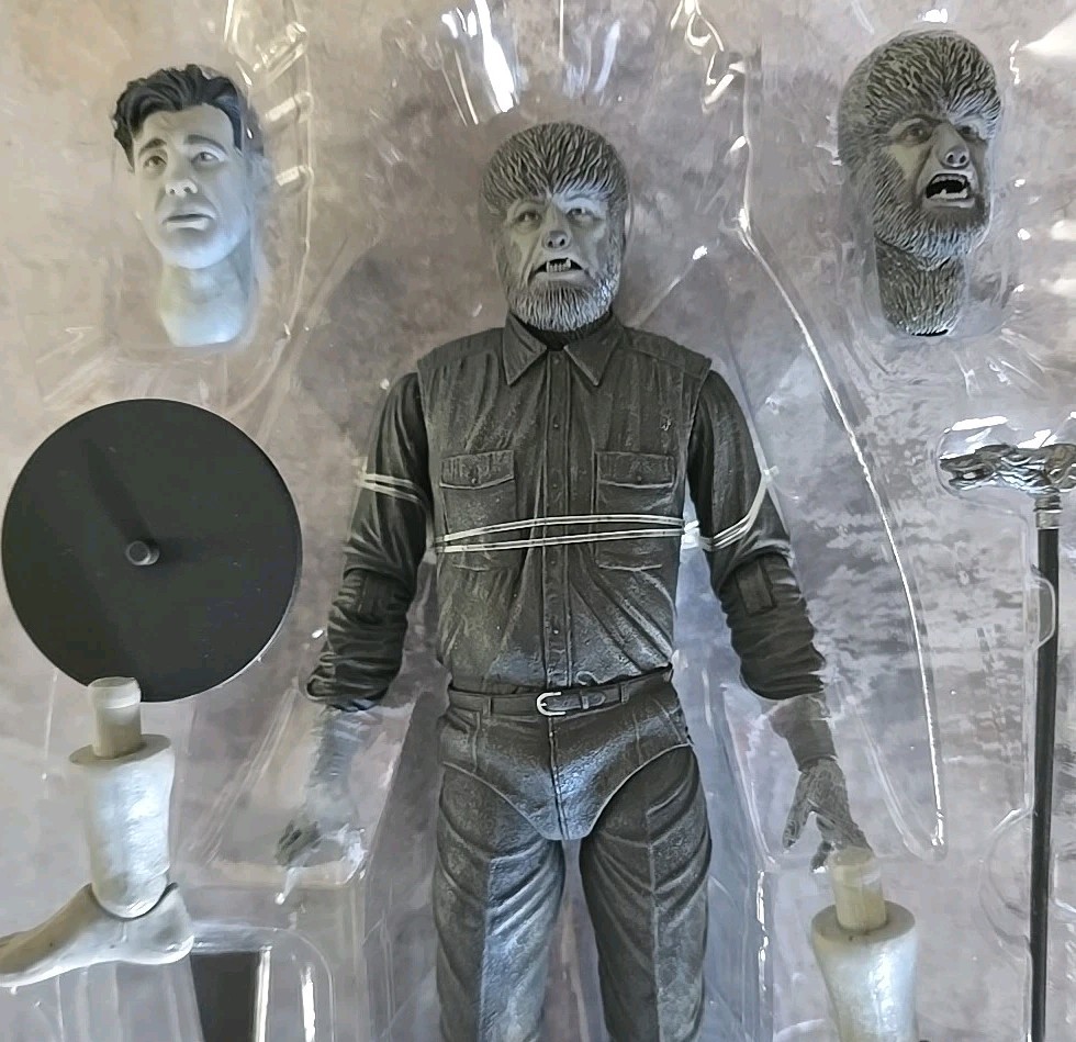 Foto 2 di 2