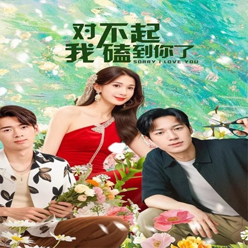 Chinese Drama sorry i love you Chinese Sub 对不起我磕到你了 Boxed 2025