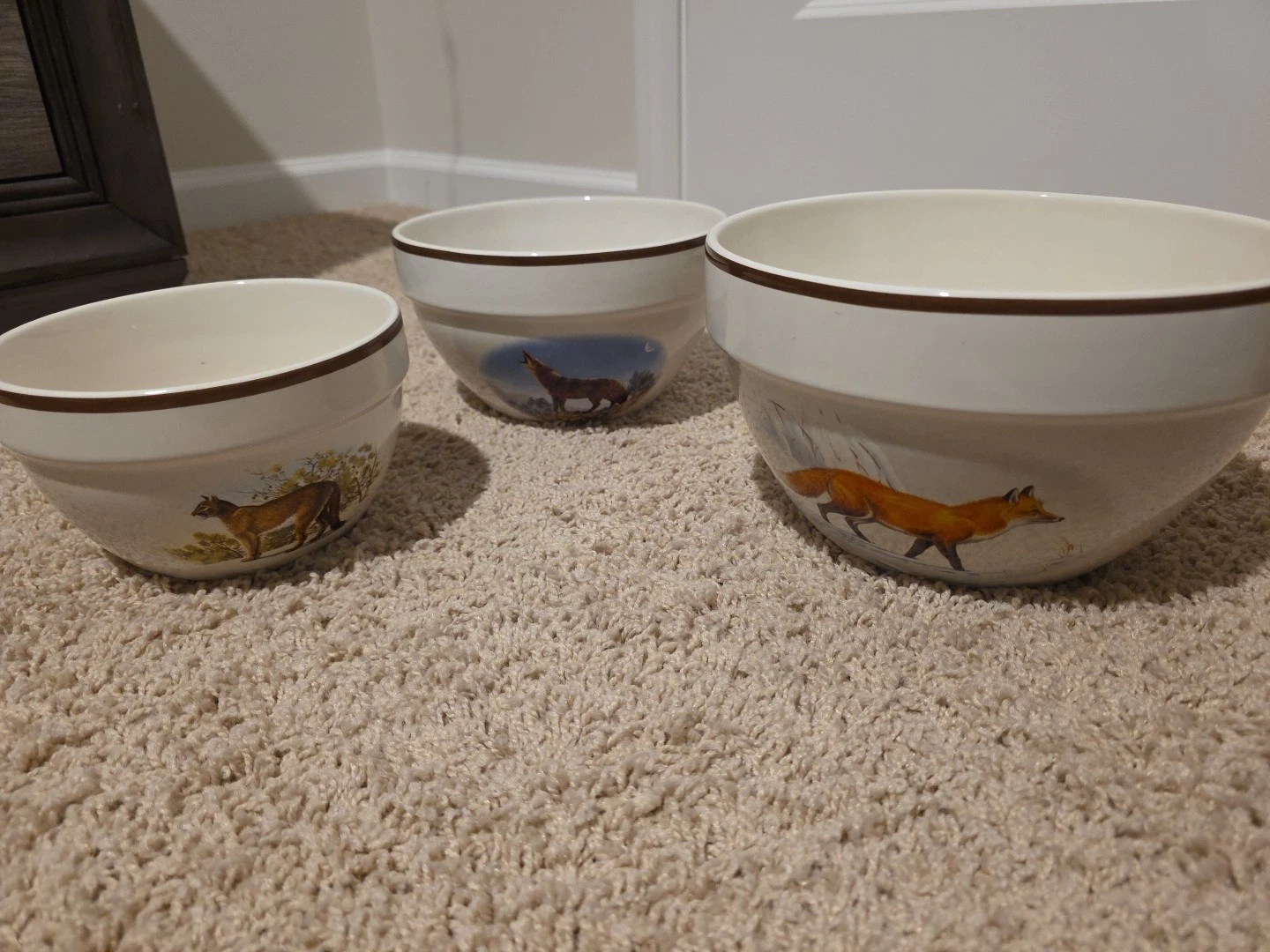 National Wildlife Federation 3 Piece Ceramic Bowl Set
