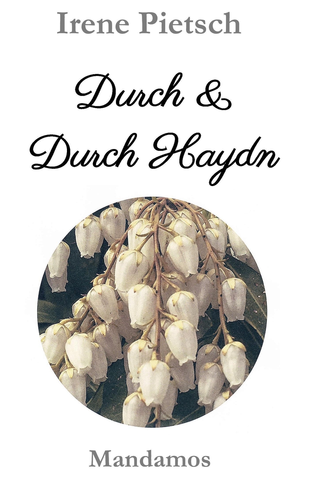 Thumbnail - Irene Pietsch | Durch & Durch Haydn | Taschenbuch | Deutsch (2016) |