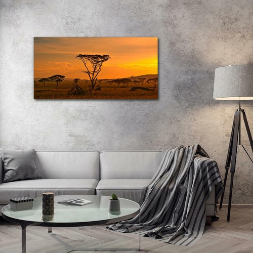 Wandbilder Glasbild Druck auf Glas 100x50 Afrikanischer Sonnenuntergang Park - Bild 2 von 7