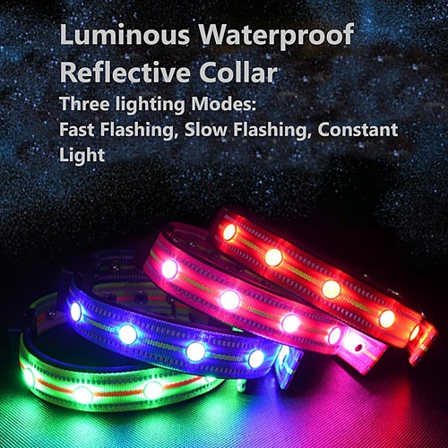 LKJYBG LED Dog Collar, USB Rechargeable Water Resistant Light Up Dog Collars - Picture 4 of 6