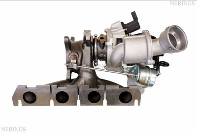 Turbocharger Audi A3 (8P1) 2.0 TFSI 53039700290