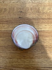 Genuine Antique Clam Shell Clutch Coin Purse Trinket Box White Pink