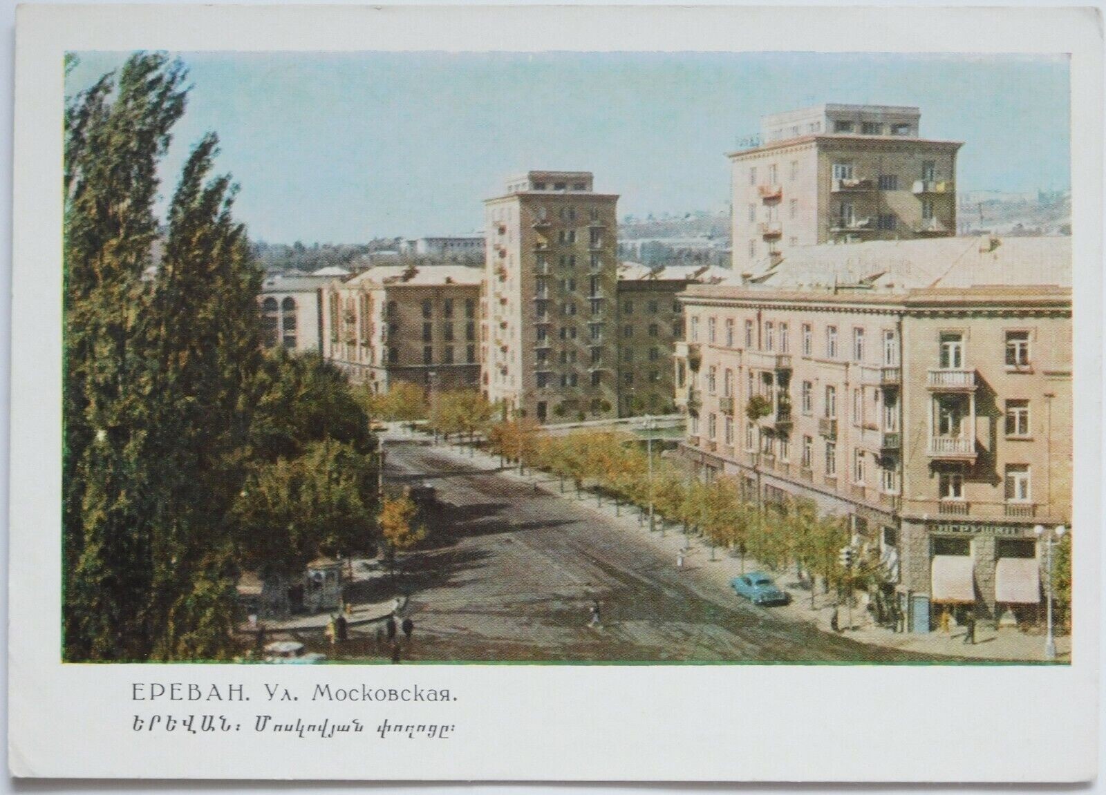Picture 3