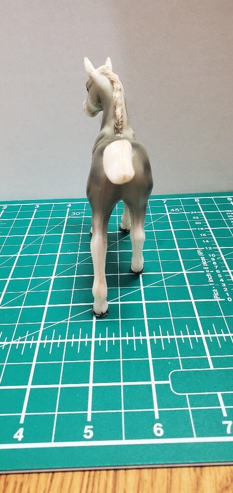 Foto 4 di 7