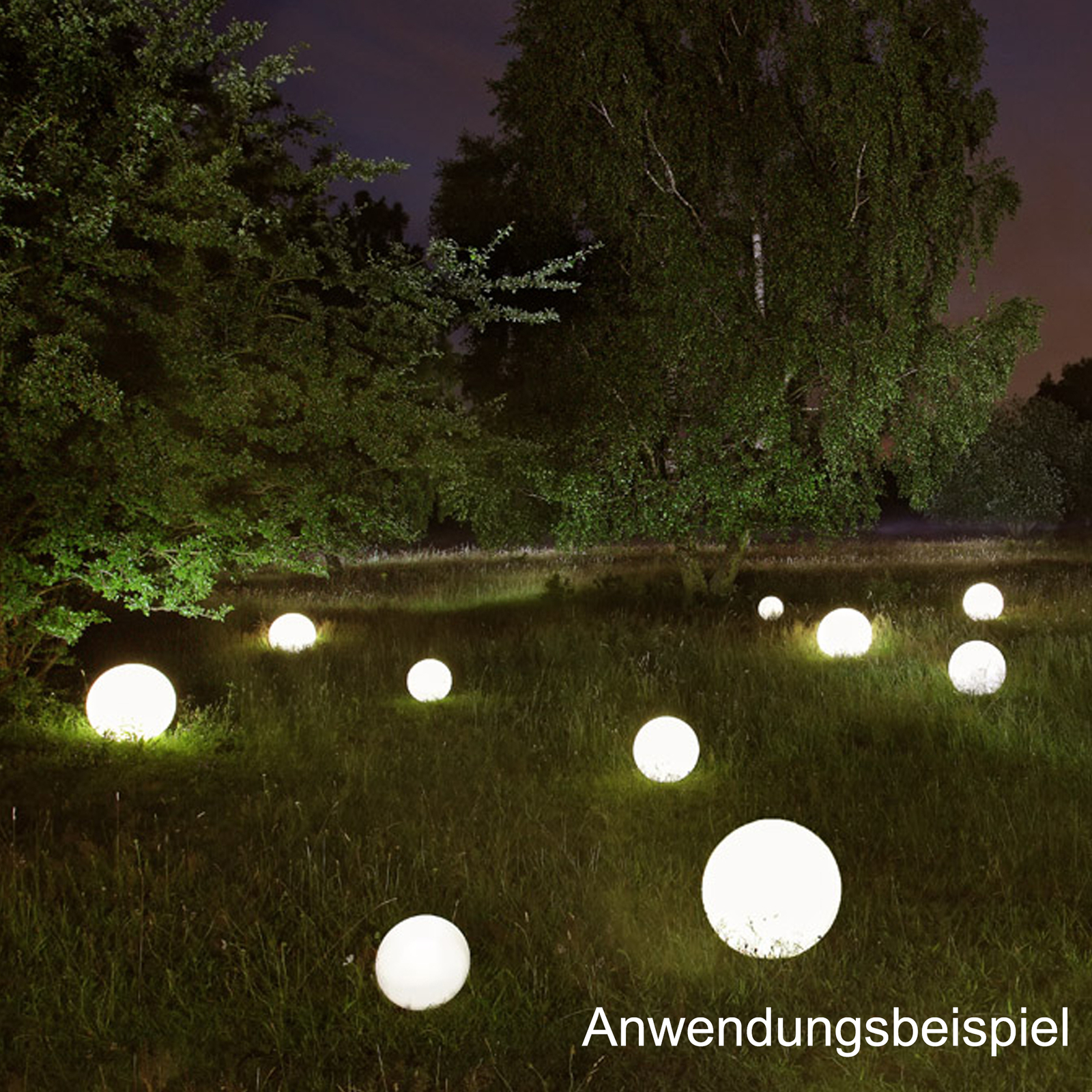 Bild 8 von 10