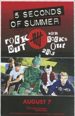 2015 5 Seconds of Summer 5SOS concert Poster Wall Art Print Size