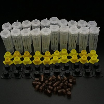 1Set Bees Tool Cages King Queen Rearing Cupkit System Bee Beekeeping Catcher Box