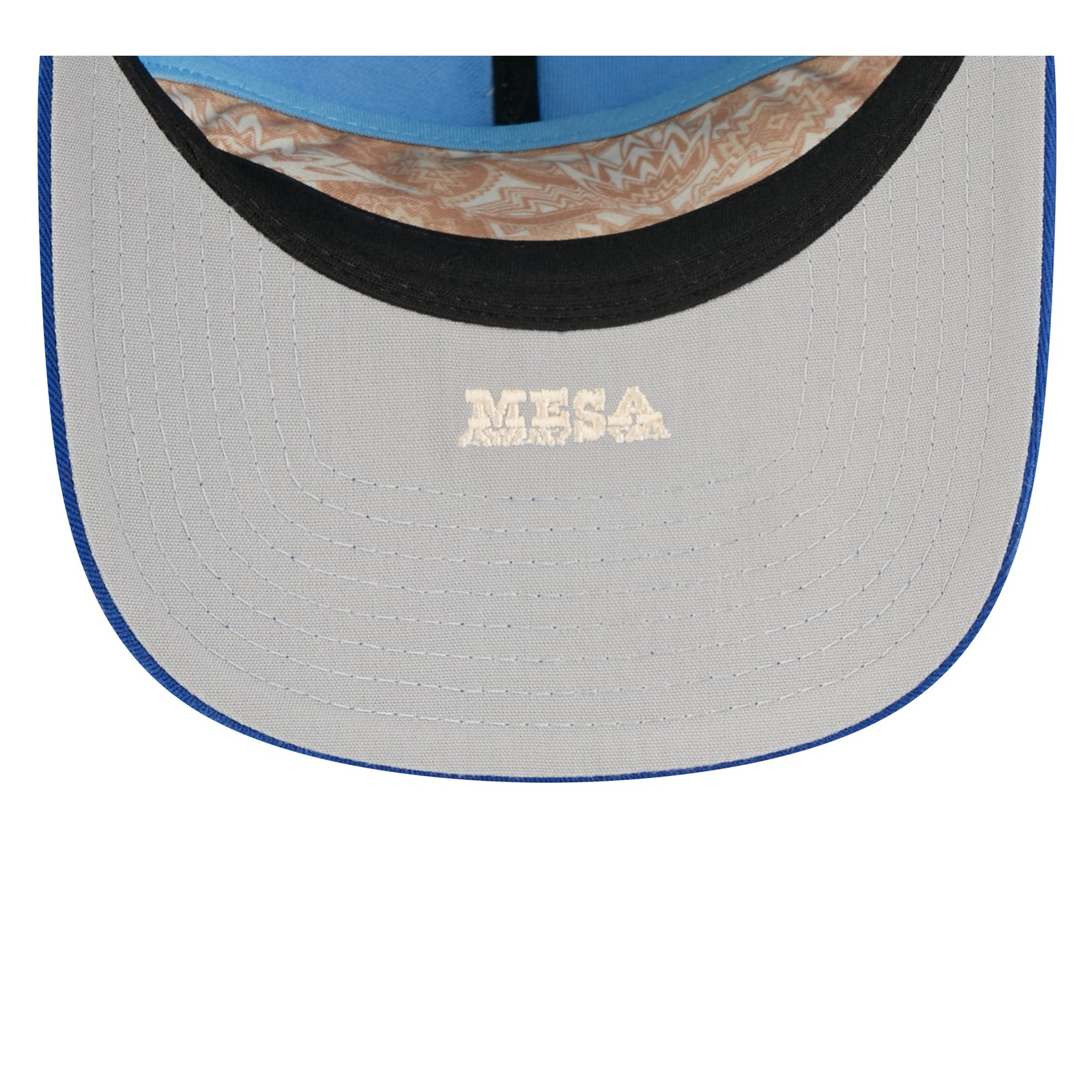 Men's New Era  Light Blue/Royal Chicago Cubs 2026 Spring Training 19TWENTY