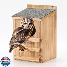 Screech Owl House With Bird Stand - Large Cedar Premium and Weath