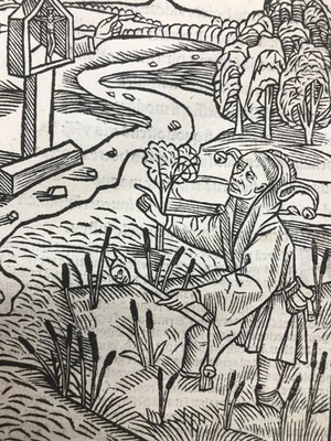 [Post-incunable XVIe] NAVIS STULTIFERA 1515 Bade GRAVURES - Photo 1/4