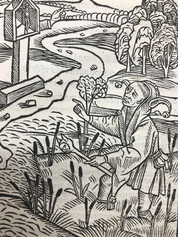 Navis Stultifera, Josse Bade, 1515