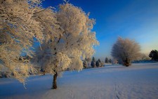 Landscape nature snow Custom Gaming Mat Desk