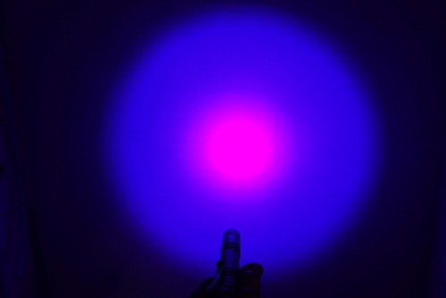 Linterna de luz negra UV 395nm para secado de manchas de mascotas tintas de detección de orina curado - Imagen 7 de 12