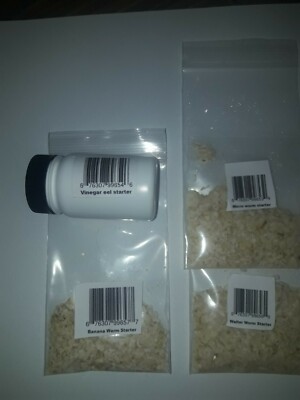 micro worm, Walter worm, Banana worm, vinegar eel live cultures