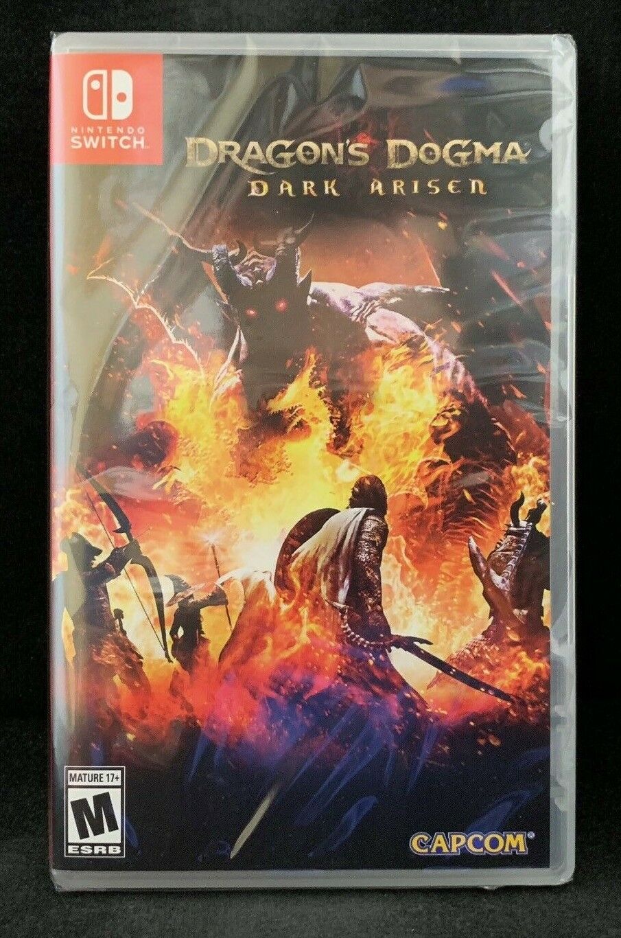 Dragon's Dogma - Save Data for Nintendo Switch - No Game Included  13388410125