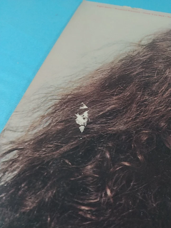 TED NUGENT "Weekend Warriors" LP Original 1978 Epic Very Good+ - Image 3 of 4