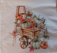 2 Individual Cocktail Napkins For Decopauge