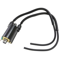 Emgo Honda 1000 CBR F / ST 1100 PAN / 1500 GL / Walkyrie / CBR 600-900 ZüNdspule