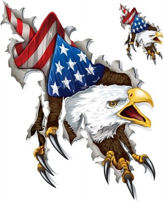 Aufkleber-Set reißender USA Adler 20 x 12,5 cm Shred Eagle Airbrush Sticker Helm