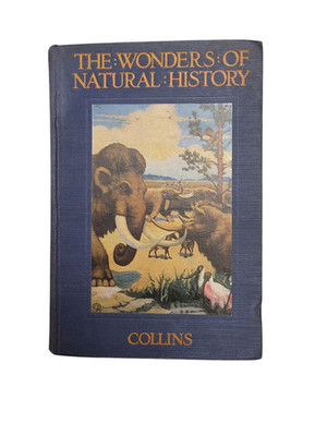 HC Book 1920 Stokes Publishing THE WONDERS OF NATURAL HISTORY - Collins GOOD