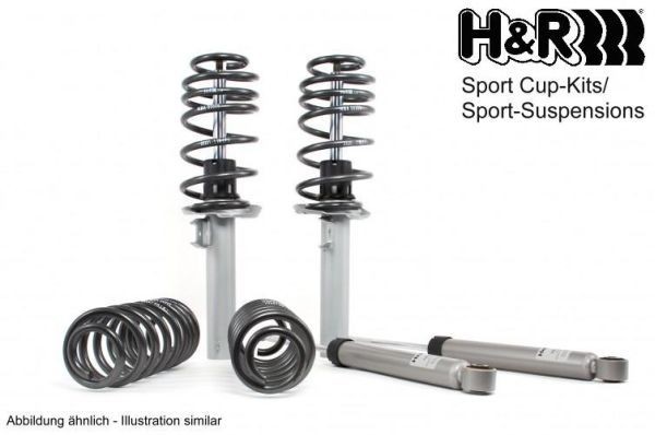 H+R Cup-Kit Suspension Kit for VW PASSAT B6 31043-7